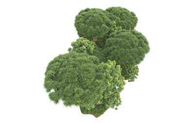 arkaplandaki izole nesne