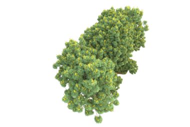 Yeşil yapraklar. Vektör illüstrasyonu.