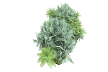 Taze yeşil marul yaprakları