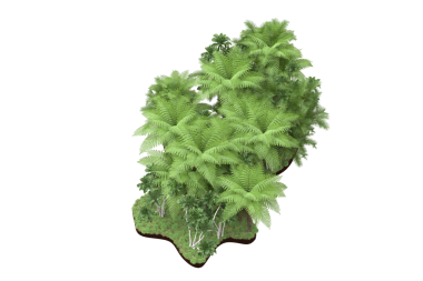 Arkaplanda izole edilmiş ağaç. kırpma yolu ile.