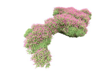 3 boyutlu virüs oluşturma