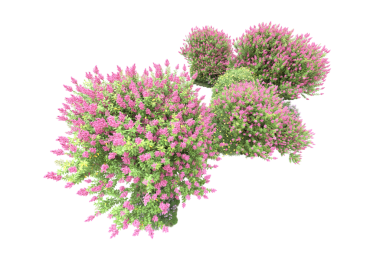 3D Coronavirus covid - 19 virüsü.