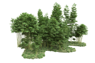 Siyah arkaplanda ağaç ve çimen