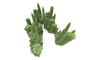 Siyah arkaplanda izole edilmiş ağaç ağacı