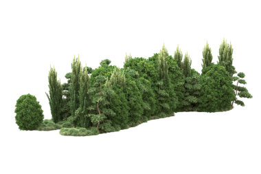 Siyah arkaplanı olan yeşil ağaç