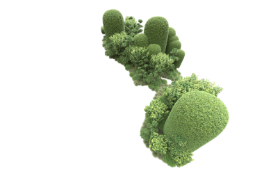 Beyaz arkaplanda izole edilmiş taze brokoli