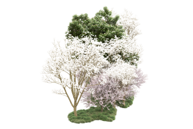 Beyaz arkaplanda izole edilmiş ağaç