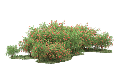 Beyaz arkaplanda izole edilmiş yeşil bir ağacın 3 boyutlu görüntülenmesi