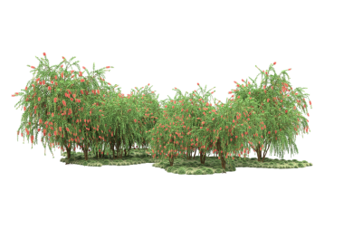 Beyaz arkaplanda izole edilmiş yeşil bir ağacın 3 boyutlu görüntülenmesi.