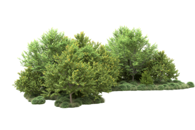 Beyaz arka planda izole edilmiş 3 boyutlu bir fantezi ağacı.