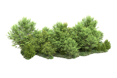 Siyah arkaplanda izole edilmiş yeşil bir ağacın 3 boyutlu görüntülenmesi