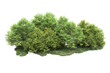 Arkaplanda izole edilmiş ağaç. 3D görüntüleme - illüstrasyon