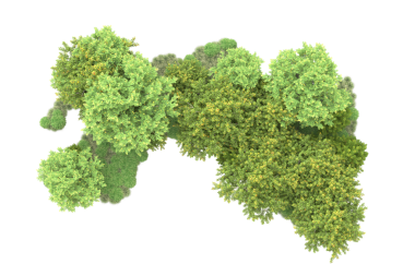 Beyaz arkaplanda izole edilmiş 3 boyutlu yeşil ağaç çizimi