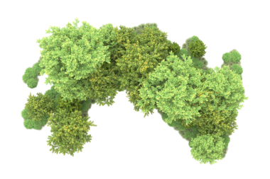 İsviçre yeşil yapraklarının haritası