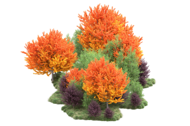 turuncu çam ağacı siyah arkaplanda izole