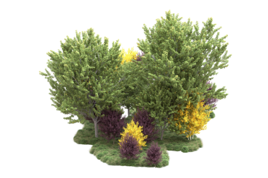 Siyah bir zemin üzerinde ağaç şeklinde izole edilmiş bir ağaç..