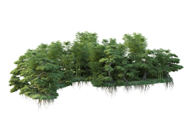 Beyaz arka planda ağaçlar ve yeşil çimenler