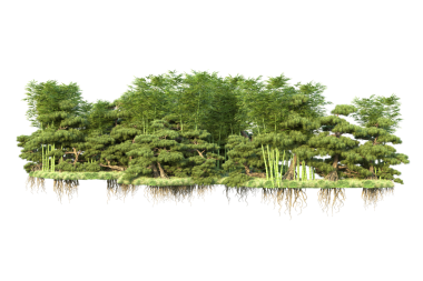 Beyaz arka planda izole edilmiş güzel yeşil bir bitkinin 3 boyutlu görüntüsü