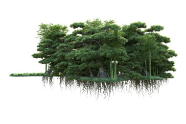 Su damlası olan ağaç