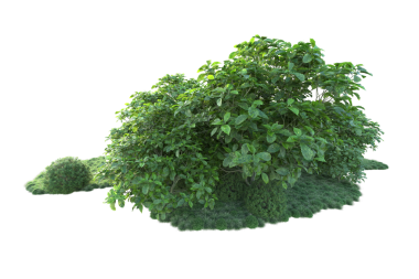 siyah bir zemin üzerine yeşil ağaç