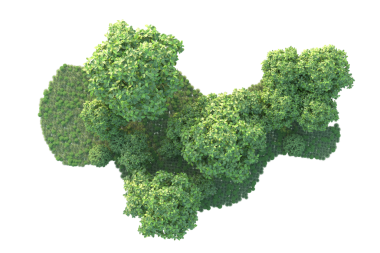 siyah arka plan üzerine izole yeşil ağaç