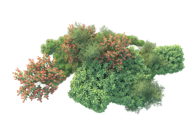 Siyah arkaplanda izole edilmiş bir ağacın 3 boyutlu resmi