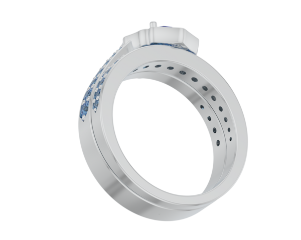 Bir yüzüğün 3 boyutlu resmi.