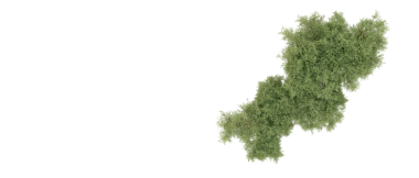 Güney Kore Haritası