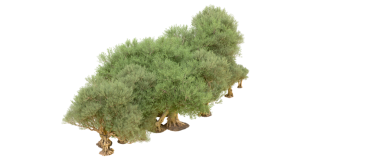 Siyah üzerine 3 boyutlu işleme ağacı