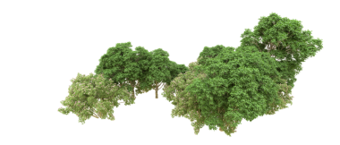 Siyah arkaplanda izole edilmiş yeşil bir ağacın 3 boyutlu görüntülenmesi