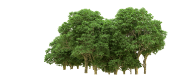 siyah zemin üzerine yeşil ağaç