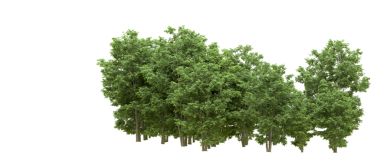 Beyaz arkaplanda izole edilmiş yeşil bir ağacın 3 boyutlu görüntülenmesi