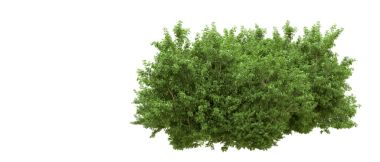 3 boyutlu yeşil ağaç çizimi