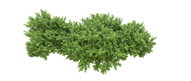 Siyah zemin üzerinde yeşil organik şekiller olan soyut 3 boyutlu kaotik canlandırma.