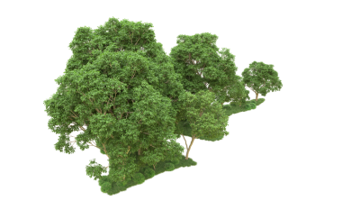 Beyaz arka planda izole edilmiş ağaç. 3D görüntüleme - illüstrasyon