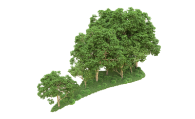 Yeşil arkaplan ile 3 boyutlu ağaç görüntüleme.