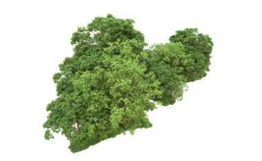 Yeşil yaprak siyah arkaplanda izole edilmiş. 3d resimleme