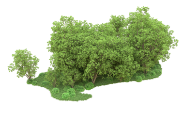 Beyaz arkaplanda izole edilmiş ağaçlar