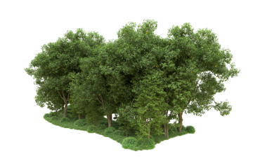 Beyaz arkaplanda yeşil çimenler.