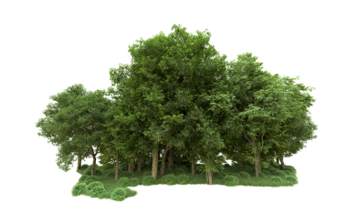 Beyaz arkaplanda izole edilmiş 3 boyutlu yeşil ağaçlar