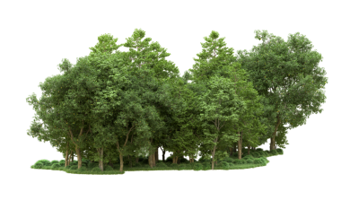 Siyah arkaplanda yeşil ağaçlar var. 3d illüstrasyon