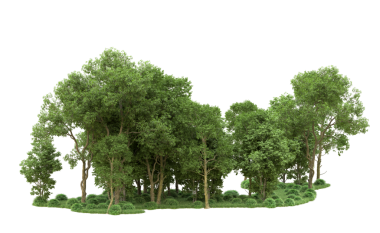 siyah bir zemin üzerine yeşil ağaç