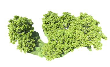 Beyaz arkaplanda yeşil ağaç şekli 3 boyutlu görüntüleme