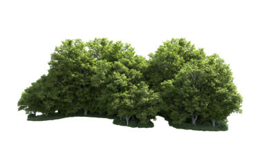 Beyaz arka planda izole edilmiş yeşil ağaçlar. 3d oluşturma