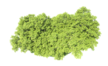 siyah arka plan üzerine ağaç