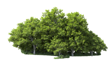 Beyaz arka plandaki ağaç. 3d illüstrasyon.