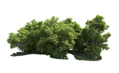 Siyah arkaplanda 3 boyutlu ağaç çizimi