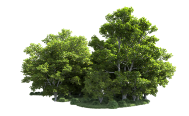 Siyah arkaplanda 3 boyutlu yeşil ağaçların görüntülenmesi