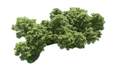 Siyah arkaplanda 3 boyutlu görüntü izole edildi