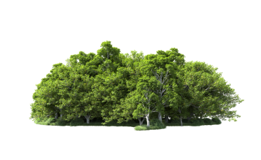 siyah zemin üzerine yeşil ağaç